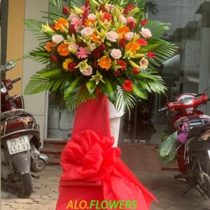 HOA KHAI TRƯƠNG PHÁT LỘC