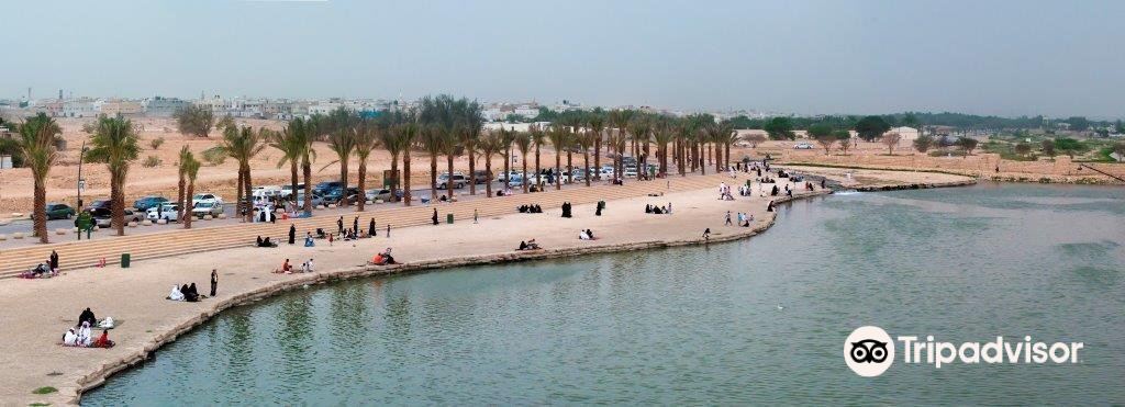 Discovering the Serenity and Splendor of Wadi Hanifah Riyadh - An Oasis in Urban Chaos