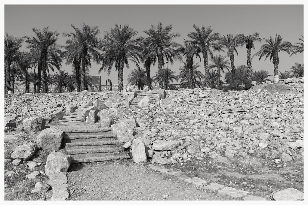 Discovering the Serenity and Splendor of Wadi Hanifah Riyadh - An Oasis in Urban Chaos
